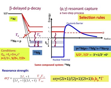 Schematic presentation